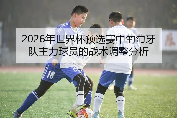 2026年世界杯预选赛中葡萄牙队主力球员的战术调整分析