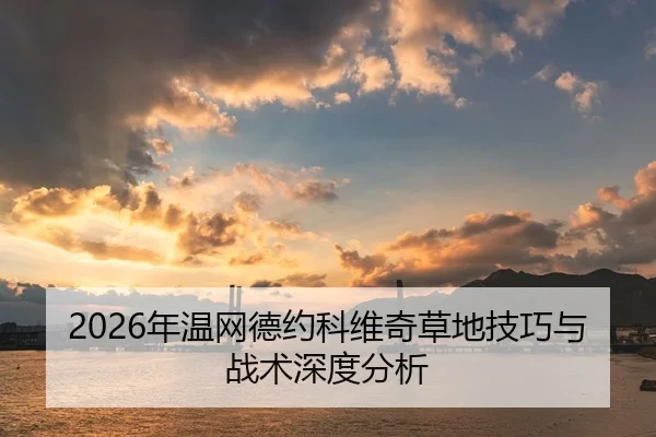 2026年温网德约科维奇草地技巧与战术深度分析