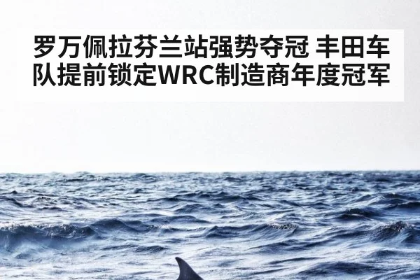 罗万佩拉芬兰站强势夺冠 丰田车队提前锁定WRC制造商年度冠军
